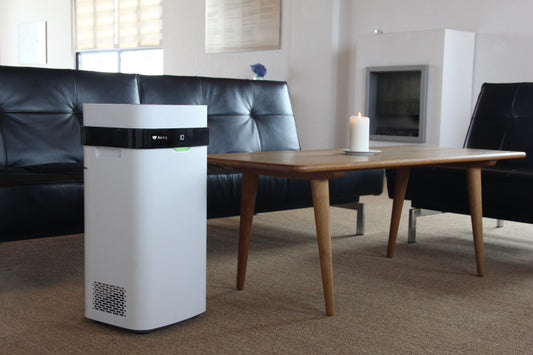 airdog x5 is placed in a modern living room