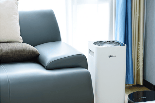 Should You Run an Air Purifier 24/7? What Science Says About Cleaner Indoor Air