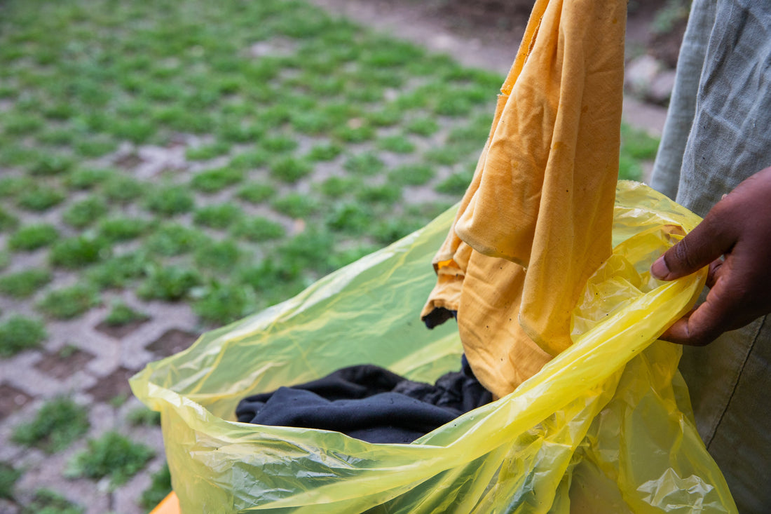 What Does Mildew Smell Like? Identifying and Eliminating  Odors