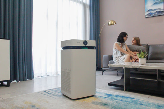 The Real Advantages and Disadvantages of Air Purifiers for Your Home