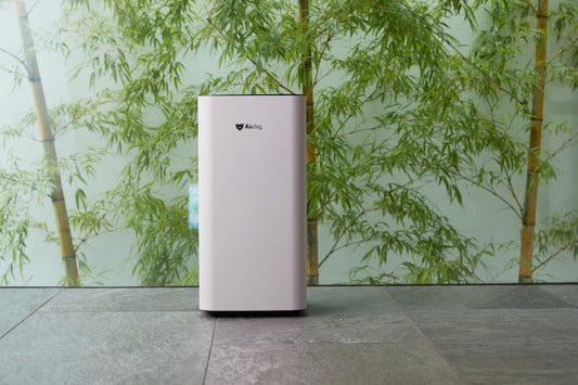 How Do Odor Eliminators Work: Absorption, Oxidation, and Beyond Explained