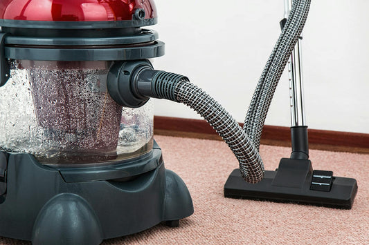 How to Remove and Prevent Mold on Carpet