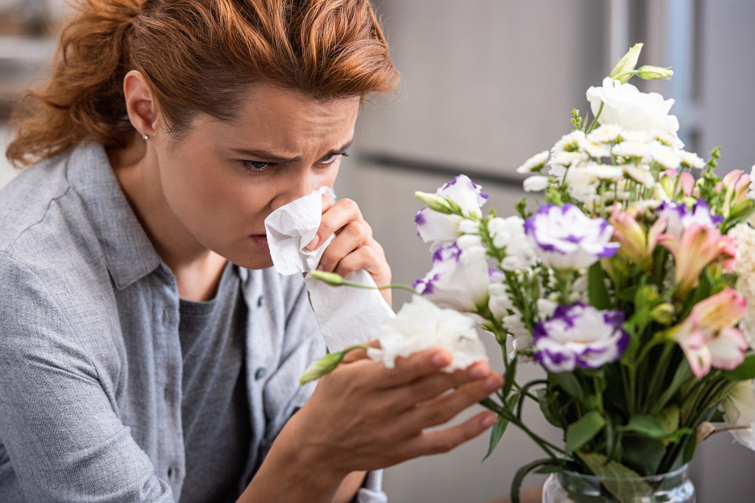 The Truth About Indoor Plants That Cause Allergies: What Allergy Sufferers Should Know