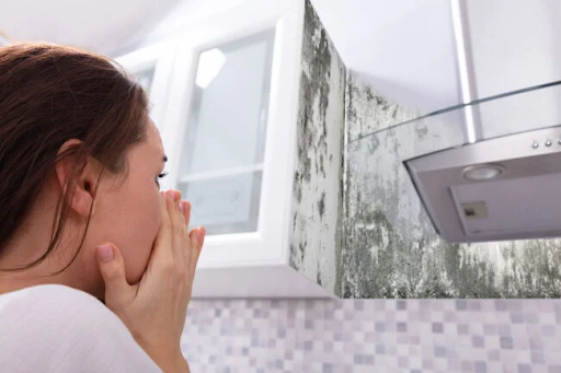 Does an Air Purifier Help With Smell?