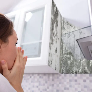 How do Air Purifiers help with Smells ?