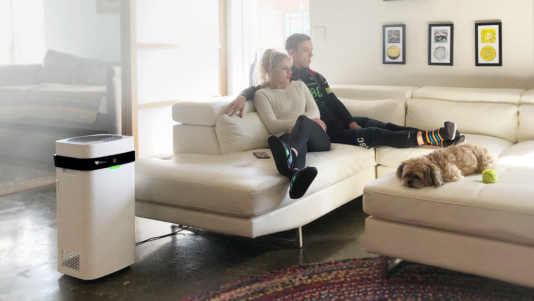 What Do Air Purifiers Do? How They Work and the Health Benefits of Cleaner Indoor Air