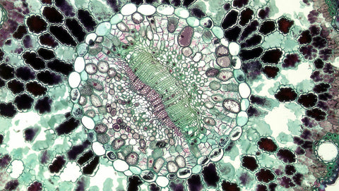PM0.1 Image 2