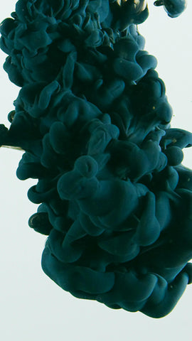 PM0.1 Image 3