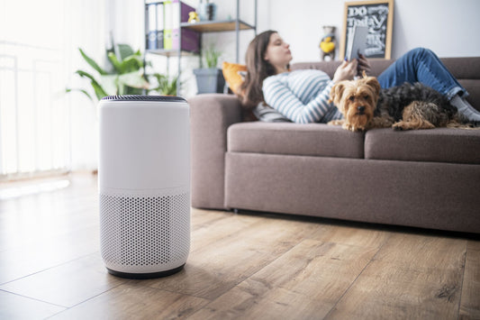 5 Signs You Need an Air Purifier For Better Air