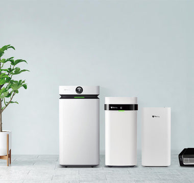 Why Airdog is the Best Air Purifier on the Market