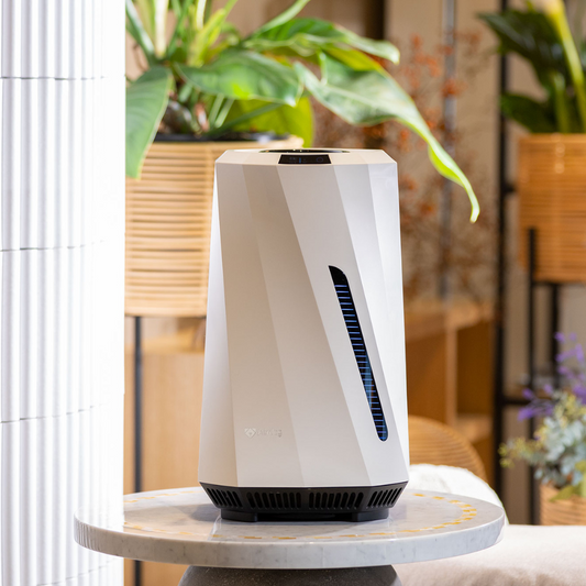 Does a Dehumidifier Clean the Air? Understanding Its Role in Indoor Air Quality