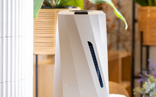 Does a Dehumidifier Clean the Air? Understanding Its Role in Indoor Air Quality