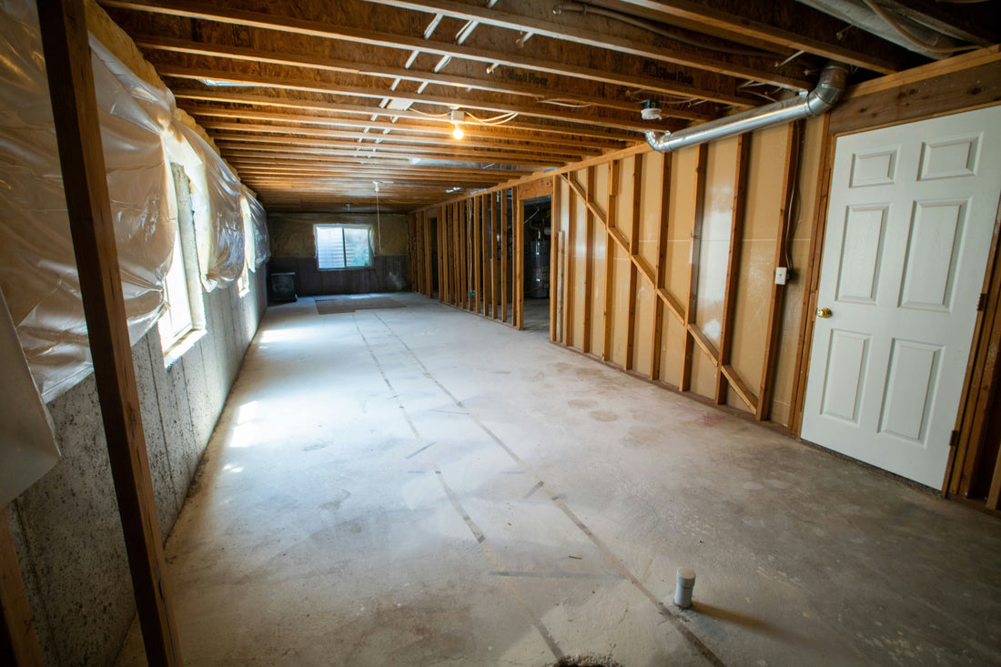 Can a Dehumidifier Help Prevent Mold Growth?