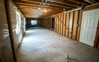 Can a Dehumidifier Help Prevent Mold Growth?
