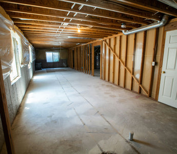 Can a Dehumidifier Help Prevent Mold Growth?