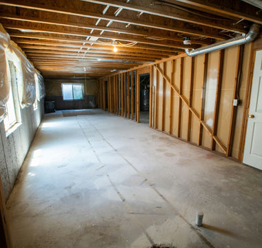 Can a Dehumidifier Help Prevent Mold Growth?