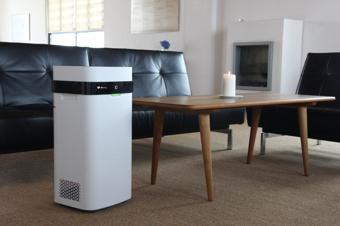 airdog x5 is placed in a modern living room 