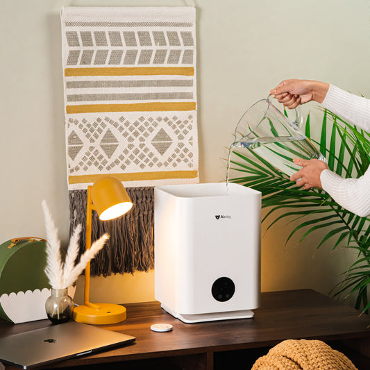a person is filling up Airdog Mist-free humidifier with water