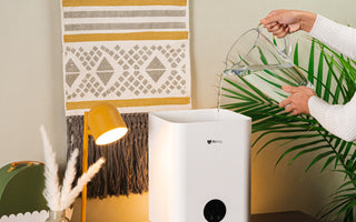 a person is filling up Airdog Mist-free humidifier with water