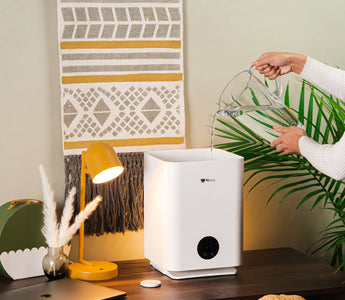 a person is filling up Airdog Mist-free humidifier with water