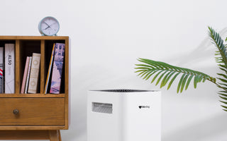 airdog x3 air purifier sits in a living room 