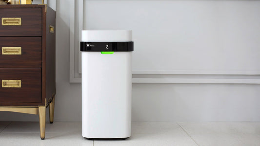 How Long Does it Take an Air Purifier to Clean a Room