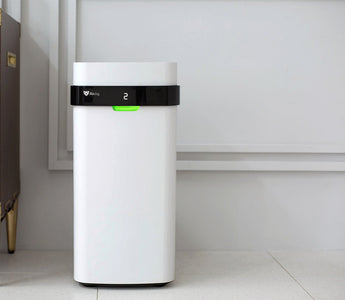 How Long Does it Take an Air Purifier to Clean a Room