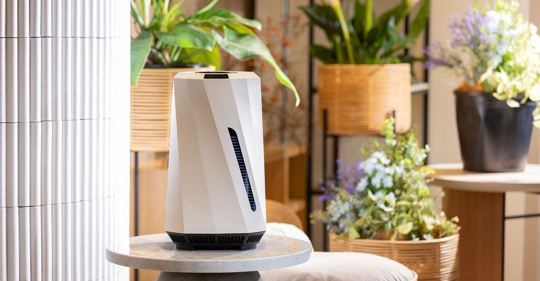 When To Use Warm Mist Humidifier