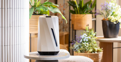 When To Use Warm Mist Humidifier