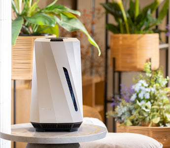 When To Use Warm Mist Humidifier