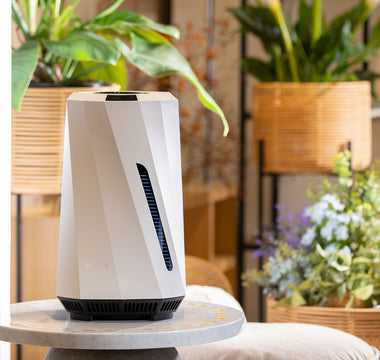 When To Use Warm Mist Humidifier