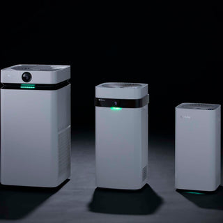 Air Purifier vs Humidifier: Which is Better for You? - Airdog USA