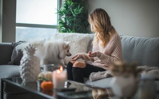 dog is sitting on the couch with its owner