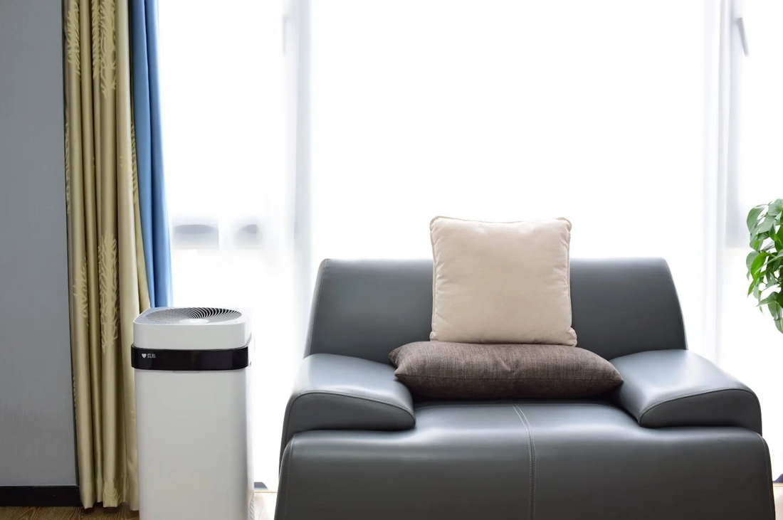 How To Hide Air Purifier?