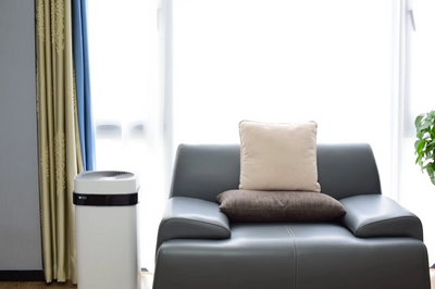 How To Hide Air Purifier?