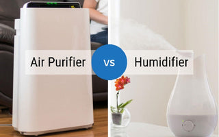 Air Purifier vs Humidifier