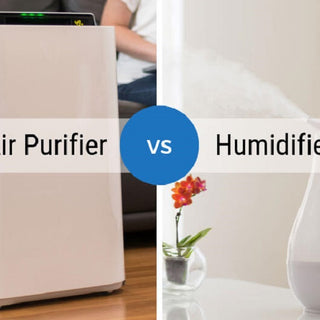 air purifier vs air humidifier
