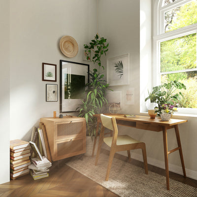 Uncovering the Source: Where Does House Dust Come From?
