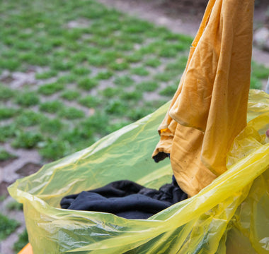 What Does Mildew Smell Like? Identifying and Eliminating  Odors