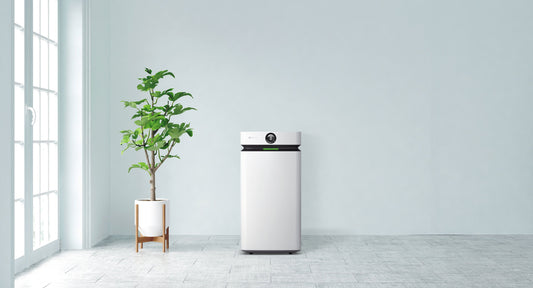 The Real Benefits of Air Purifiers: How They Protect Your Lungs, Heart, and Home