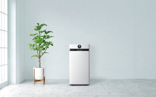 The Real Benefits of Air Purifiers: How They Protect Your Lungs, Heart, and Home