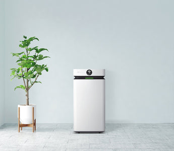 The Real Benefits of Air Purifiers: How They Protect Your Lungs, Heart, and Home