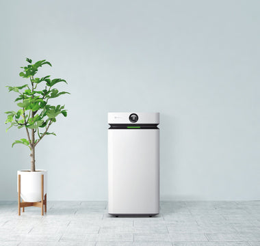 The Real Benefits of Air Purifiers: How They Protect Your Lungs, Heart, and Home