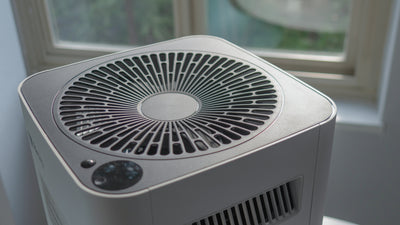 Air Purifier and Essential Oil Use: What You Need to Know for Clean, Safe Air