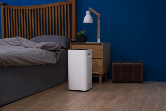 Air Purifier for Musty Smell: How to Remove Damp Odors and Freshen Indoor Air