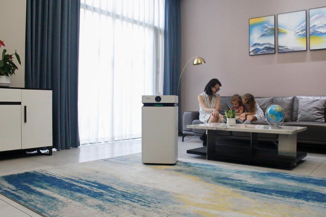 Air Purifier For Stuffy Room