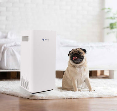 Are Air Purifiers Safe For Pets?