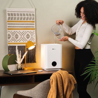 Can You Use Tap Water In A Humidifier?