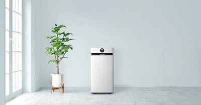 How Much Does It Cost to Run an Air Purifier?