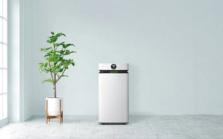 How Much Does It Cost to Run an Air Purifier?
